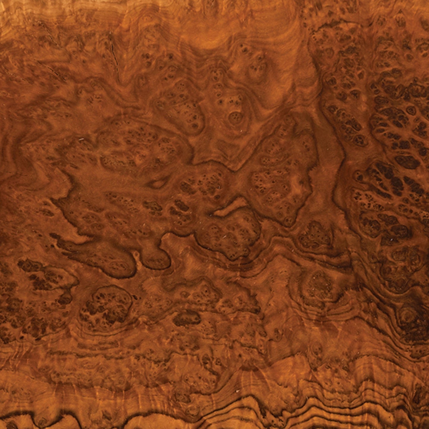 Australian Brown Mallee Burl Slice - 1 kg - 2 kg alt 0
