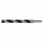 Fisch CV 12mm Brad Point Bit alt 0
