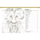 Relief Carving Wood Spirits Revised Edition alt 0