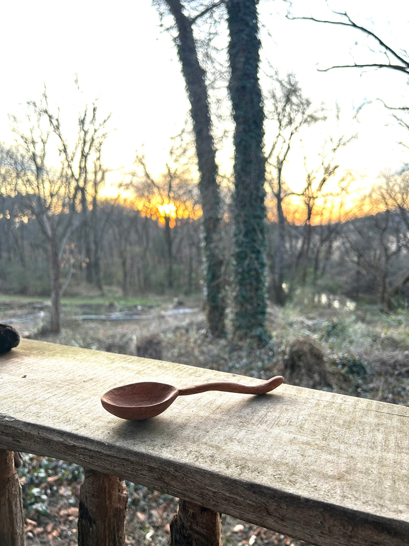 552_Spoon.jpg