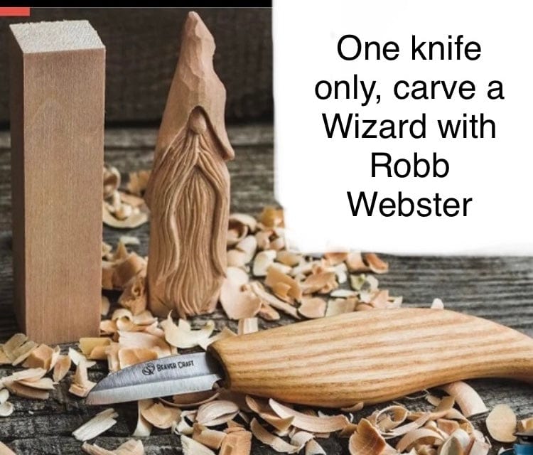 311_wizard_class.jpg